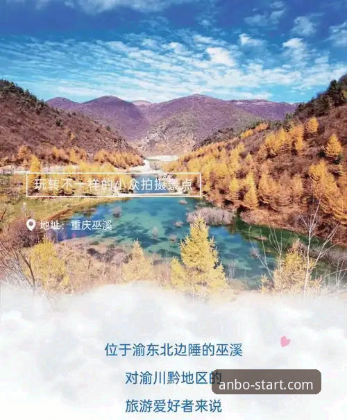 安博体育开启之旅全面解析：从新手到资深玩家的实战指南